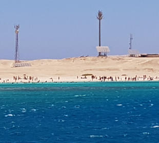 Bootstour Sea World Panorama Boat Hurghada