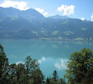 Blick auf den Thunersee