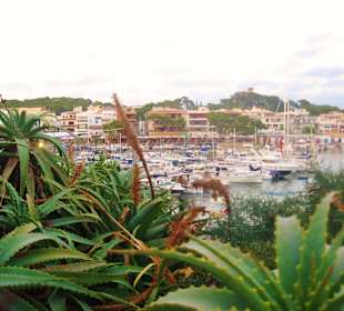 Hafen Cala Ratjada