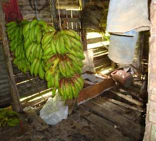 Bananenvorrat