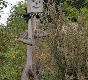 Wandern Bad Traunstein