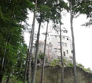 Mitten im Wald - die Burg ist schon zu sehen