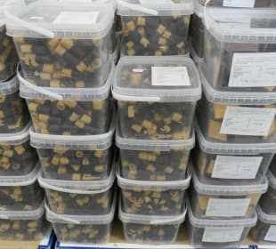 Das Bahlsen Outlet am Alten Fischereihafen