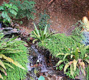 Fo-Guang-Shan Klosterkomplex