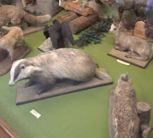 Heimatmuseum Oberstdorf