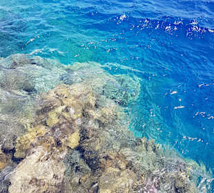 Schnorcheln Marsa Alam