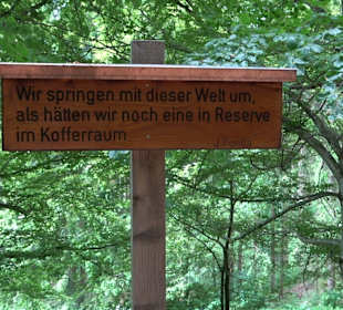 Waldlehrpfad in Tieringen