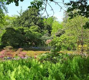 Rundgang durch den Berggarten Hannover
