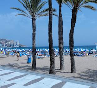 Benidorm La Mer Hôtel Helios