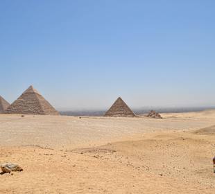 Ausflug nach Kairo