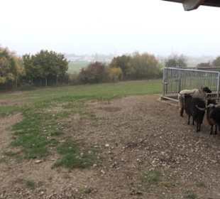 Erlebnisbauernhof und Wildgehege