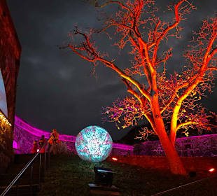 Christmas Garden Koblenz