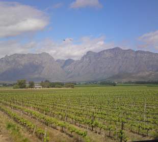 Some views from wine regions