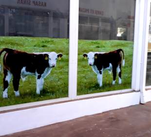 Markthalle Bandabuliya