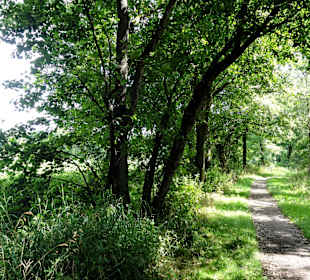 Unterwegs auf dem Huntepadd