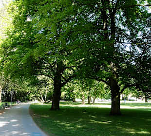 Impressionen aus den Neustadtswallanlagen