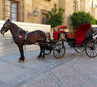 Das gehört zu Andalusien