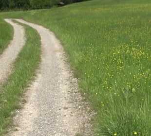 Naturpark Schönbuch