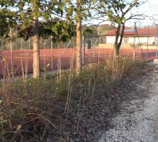 Tennisplätze Raidwangen