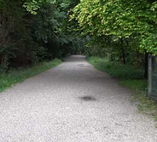 Schlosspark Nymphenburg