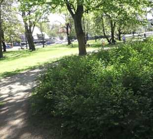 Rheinisches Landesmuseum 