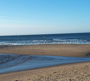 Playa de Los Haraganes