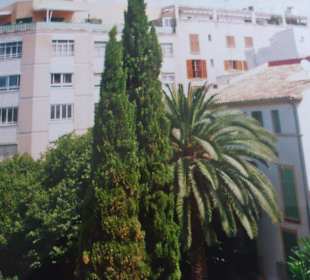 Ausblick von einen Hinterhof in der Altstadt