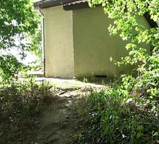 Wanderung zur Burgruine Liebenau