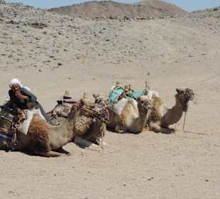 Ausflug Jeep Safari mit allem.