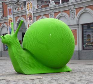 Jeden z wielu ślimaków