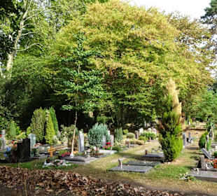 Eindrücke vom Friedhof Melaten