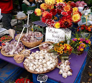 Spaziergang über den Göttinger Wochenmarkt
