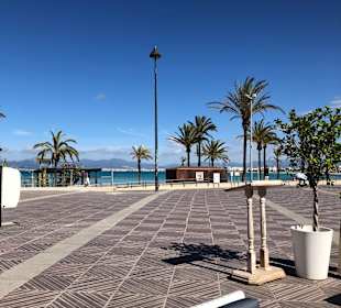 Stadtrundgang El Arenal