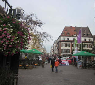 Fest des Federweißen in Landau