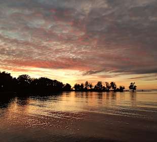 Uferpromenade Bregenz