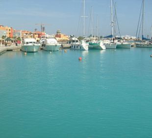 Neuer Hafen