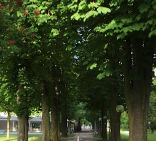 Allee an den Kolonaden