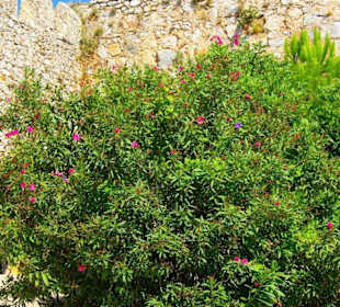 Burg von Alanya (Ic Kale) An- und Abfahrt