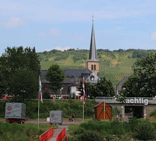 Mosel bei Rachtig