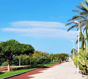 Schöne Parkanlage in Adeje