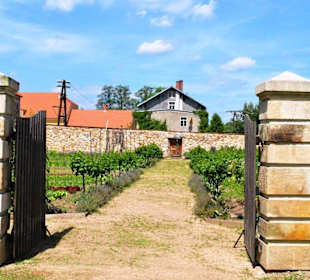 Pałac Łomnica. Ogród kuchenny.