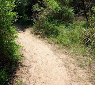 Radwege im Naturschutzgebiet