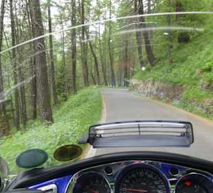 Passstrasse durch den Wald