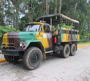 Unser Dschungelauto