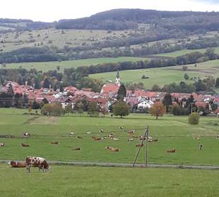 Wandern Ehrenberg (Rhön)