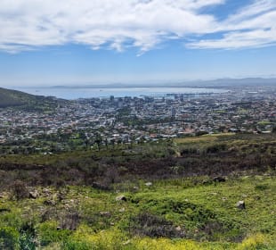 Blick vom Fuße des Tafelbergs auf Kapstadt