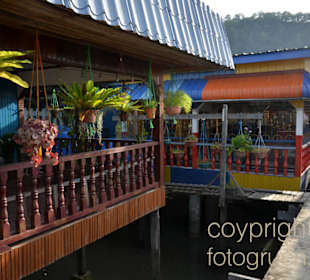 Flowers at water village