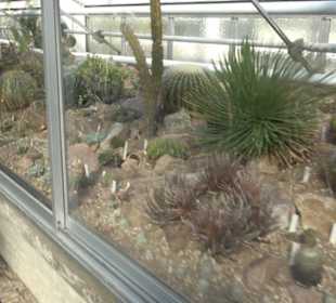 Gewächshäuser Botanischer Garten