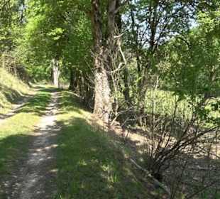 Premiumwanderweg Hochgehschätzt