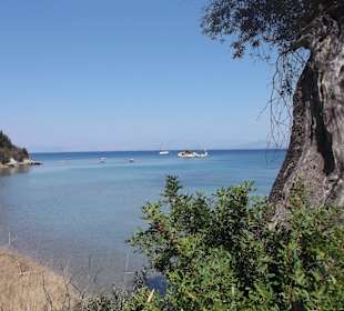 Auf dem Weg zum Palmengarten